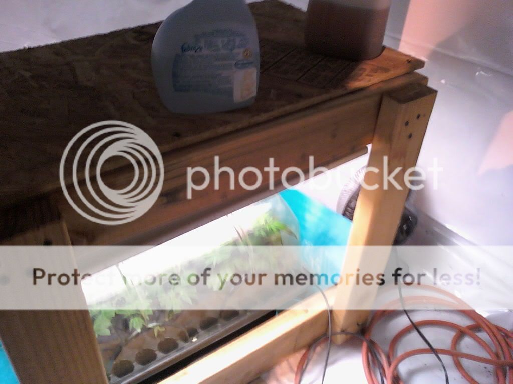 100217_194014.jpg