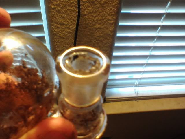 glasss.jpg