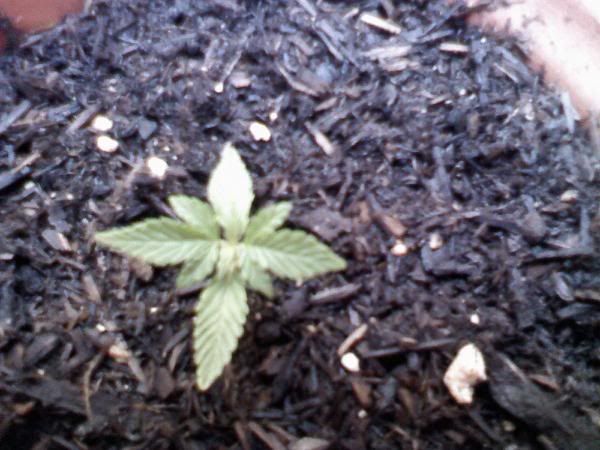 downsized_0825081808.jpg