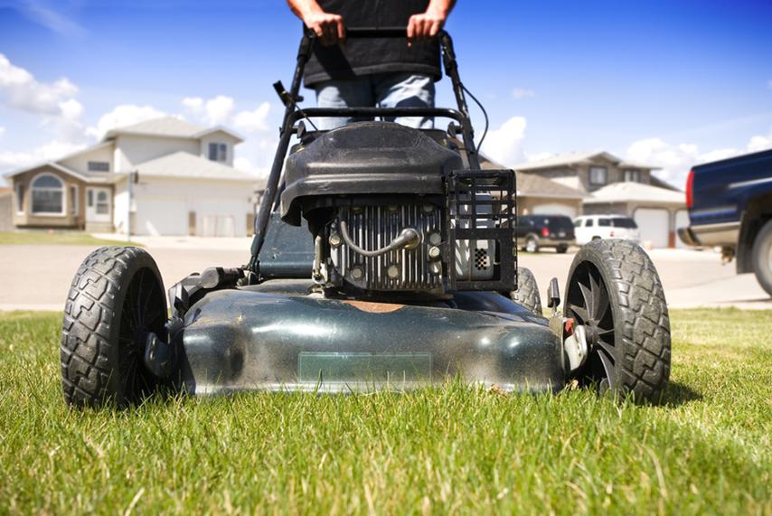 Chandler%20AZ%20landscaping%20service.jpg