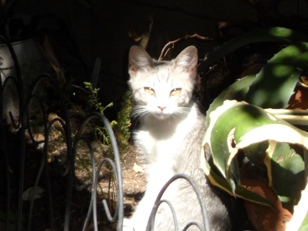 SAM_0812.jpg