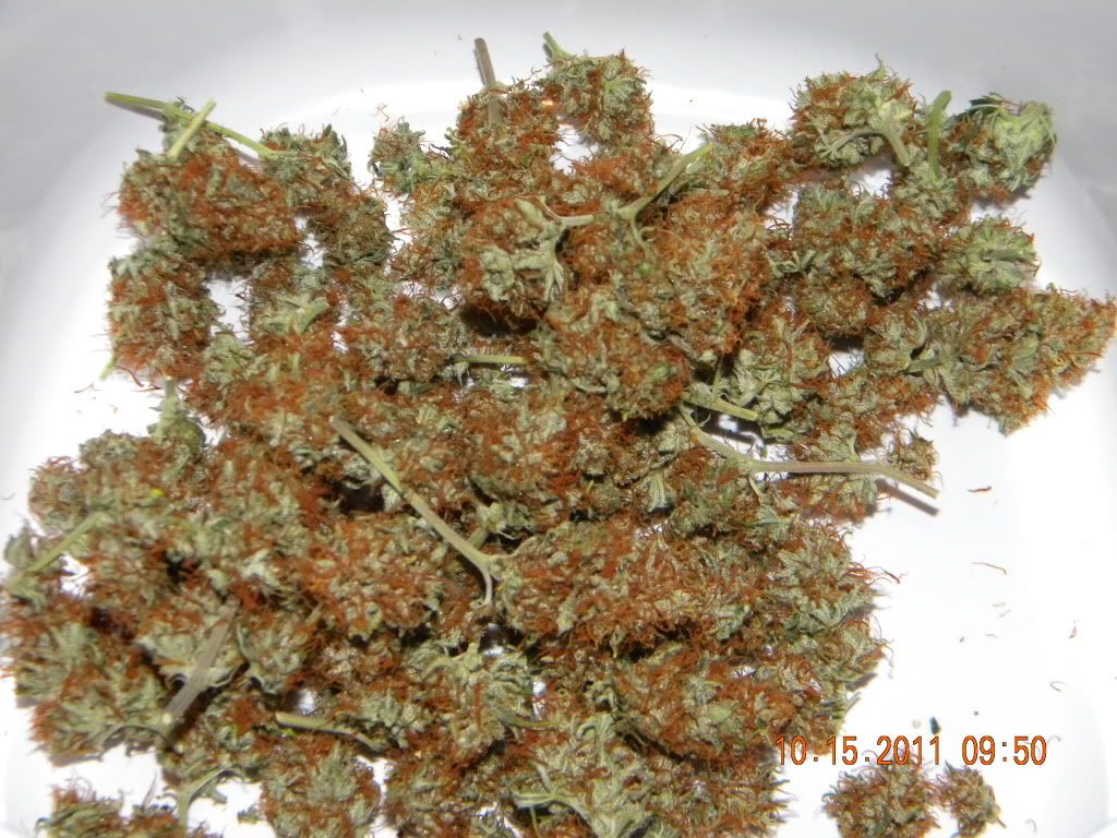 DSCN2888.jpg