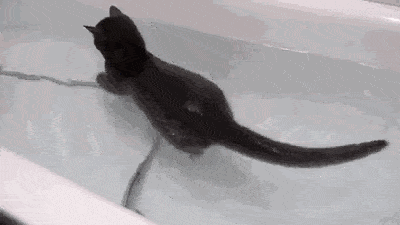 1676977842_2.gif