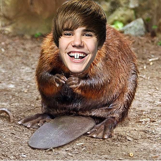 justin_beaver_by_sylvainfinrod-d5cmeeq.jpg