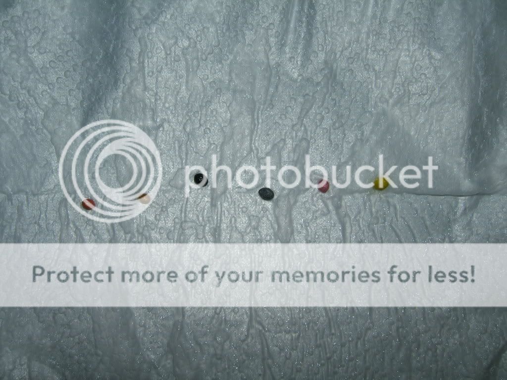 DSCF2829.jpg