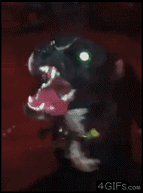 gif_03.gif