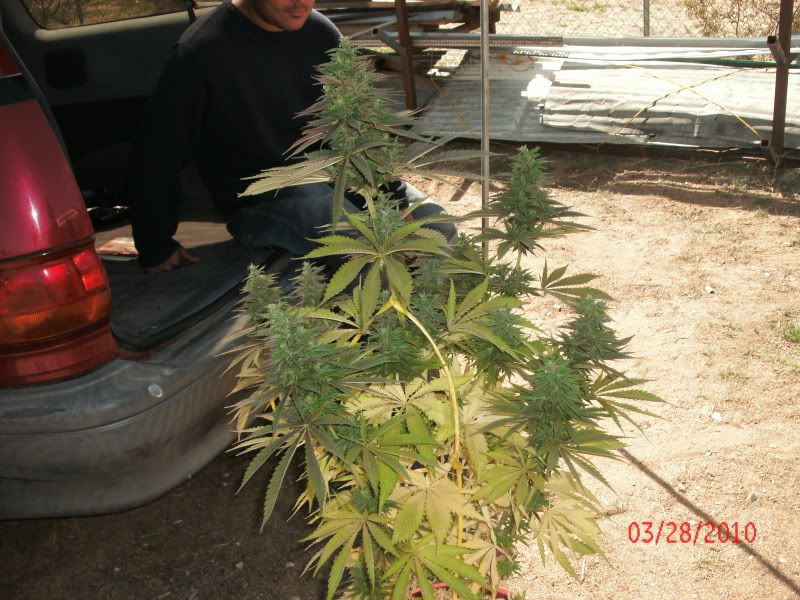 GEDC0512.jpg