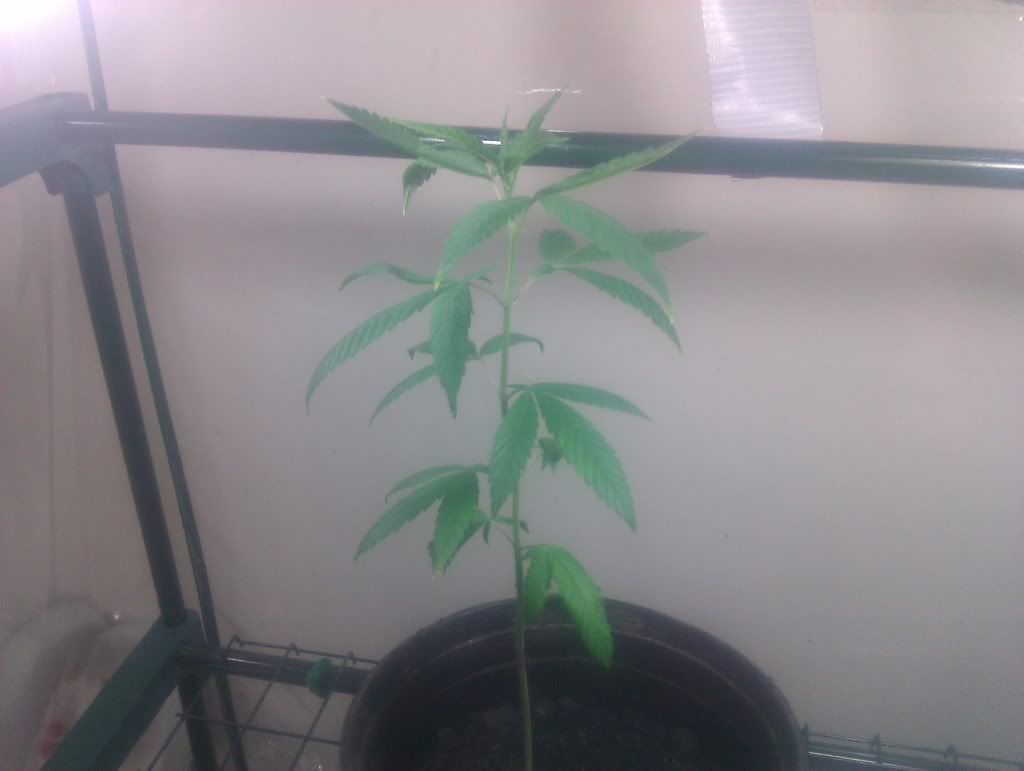 IMAG0566.jpg