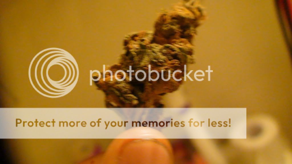 DSC00612.jpg