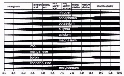 ph-nutrient-availability.jpg
