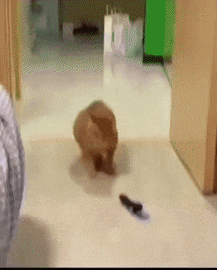 1678981539_3.gif