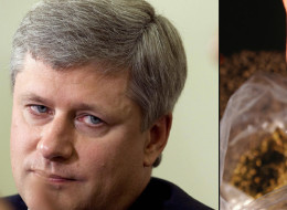 n-HARPER-MARIJUANA-large.jpg