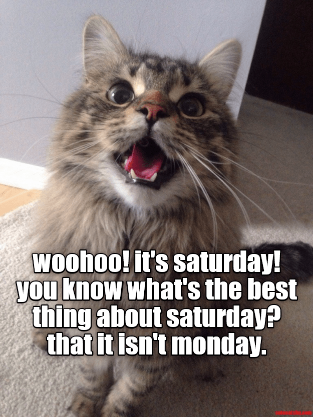 2df23684314950d569a51f032f088a07.png