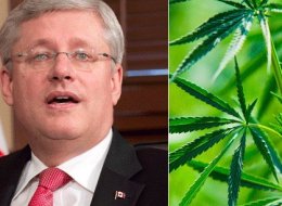 n-STEPHEN-HARPER-MARIJUANA-large.jpg