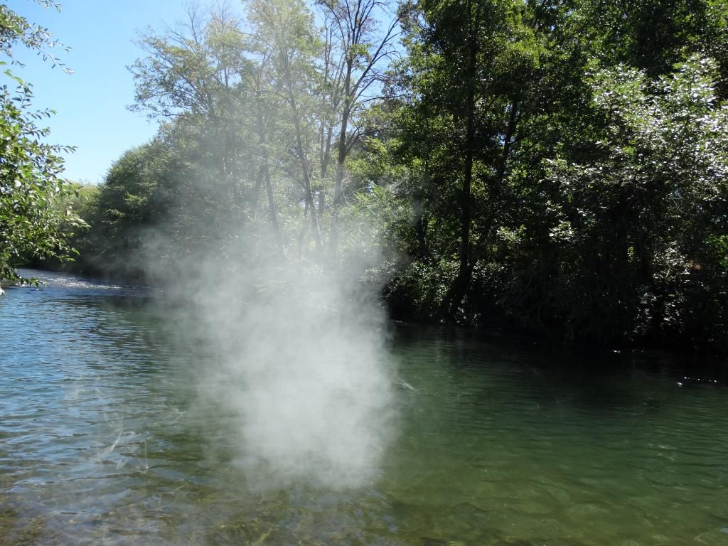 DSC07217_zps6fe07418.jpg
