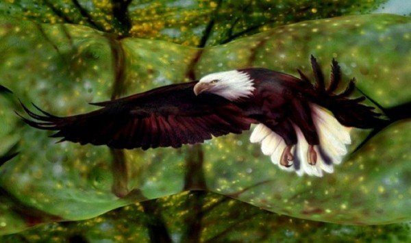 20110518_bp_08-600x355.jpg