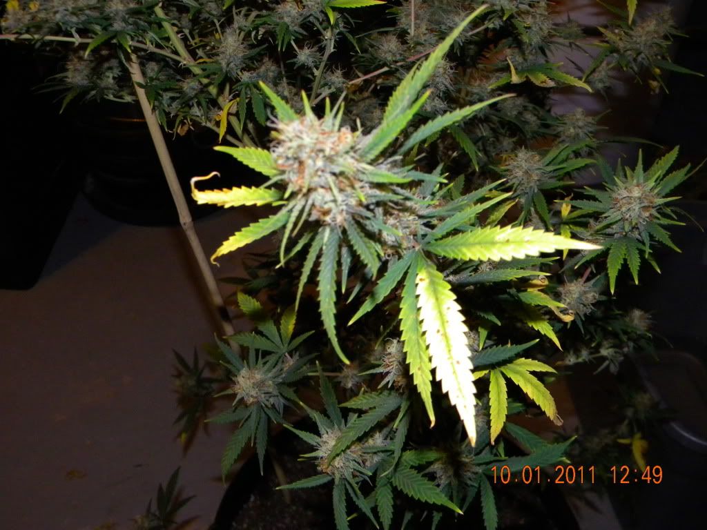 DSCN2834.jpg