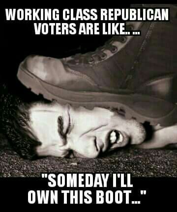 444965c98fac189a59c5444d4e9bc8f6.jpg