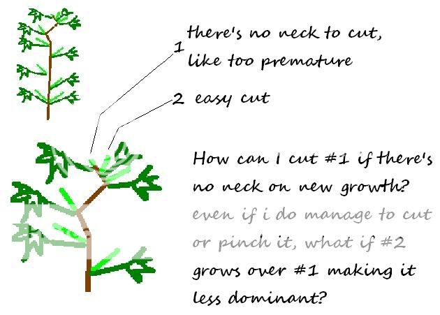 alternatingclosegrowth.jpg