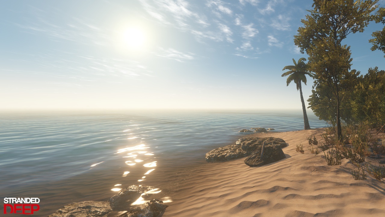 shore.jpg