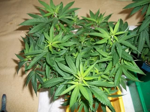 4-22-11008.jpg