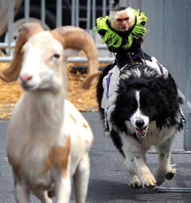 acid_picdump_91.jpg