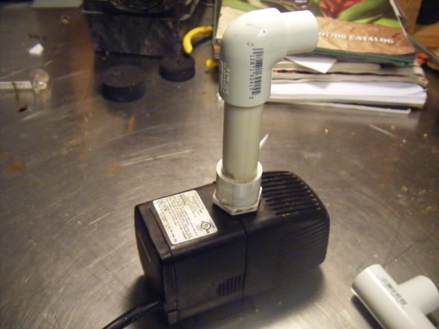 DSCF1697.jpg