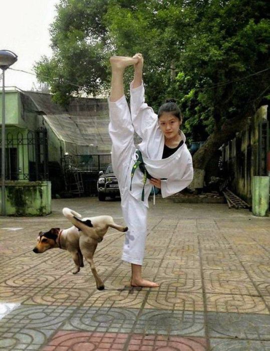 acid_picdump_42.jpg