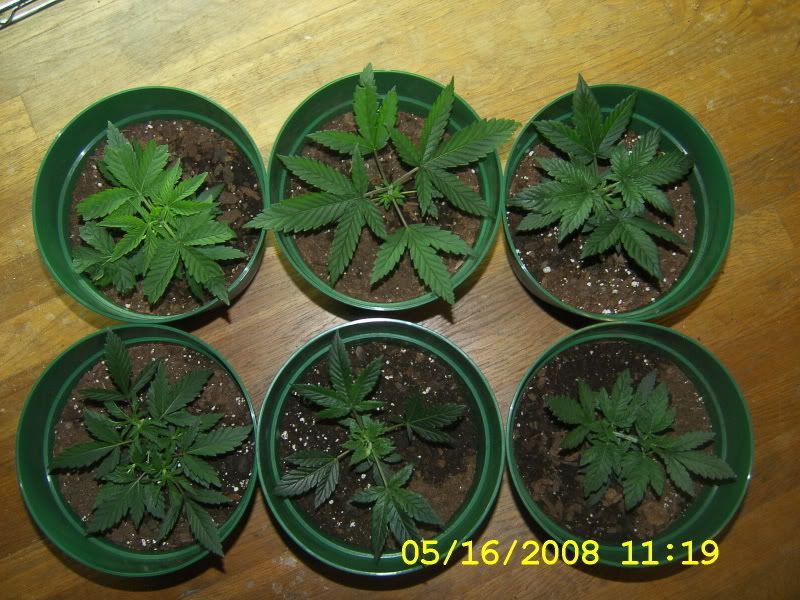 DCAM0178.jpg