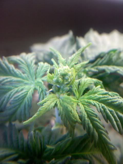 20120114124609.jpg