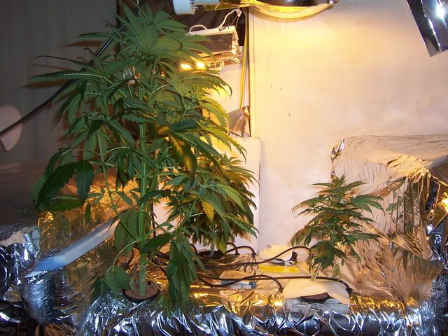 000_2657.jpg