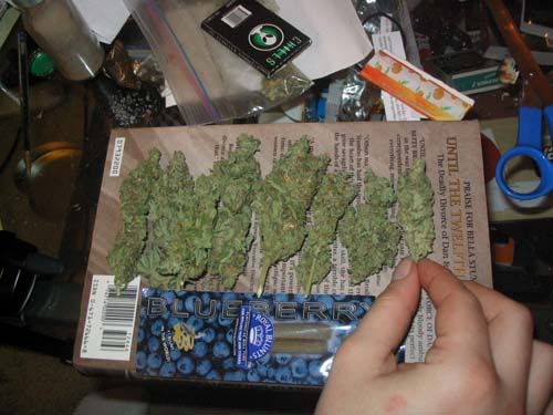 Weed016.jpg