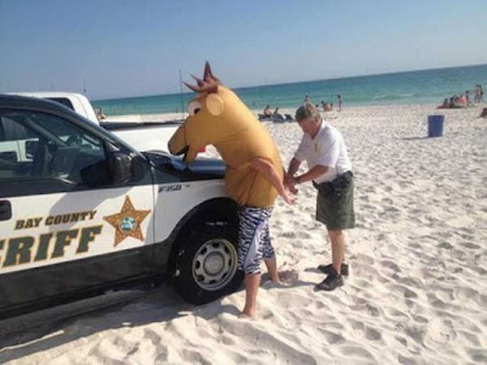 acid_picdump_72.jpg