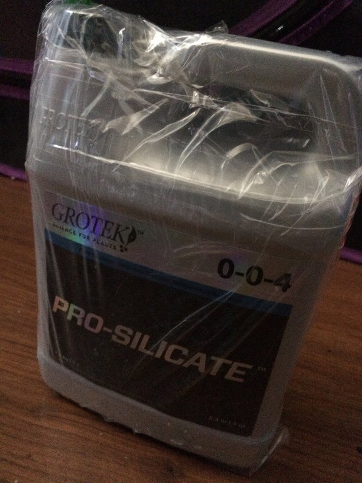 Silicate.jpg