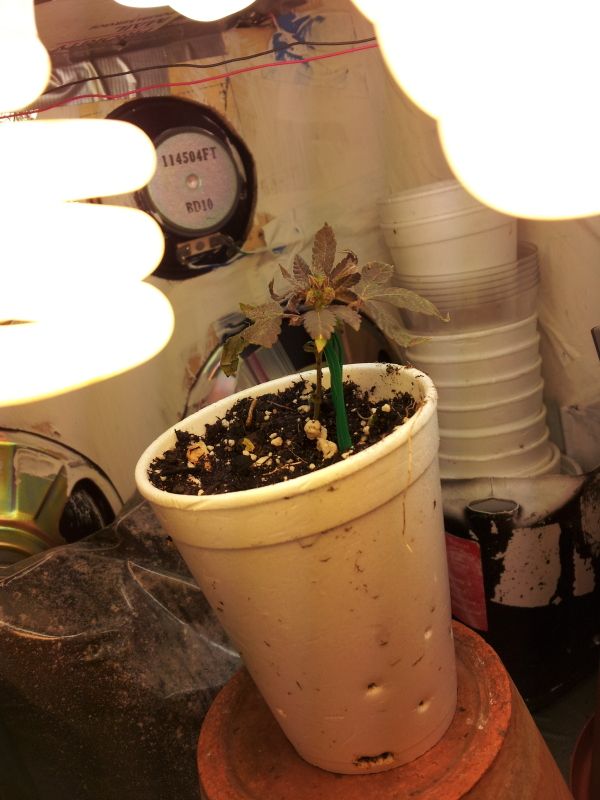 20121115_002959.jpg