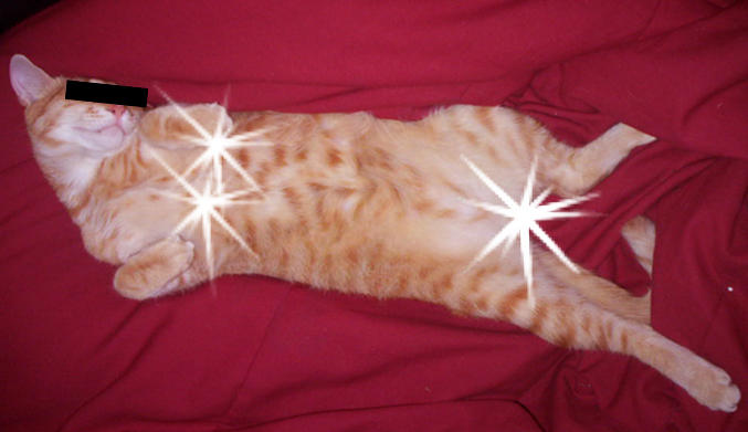Kitty_Porn_by_Raym304.jpg