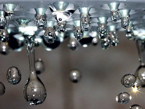 showerwater1.jpg