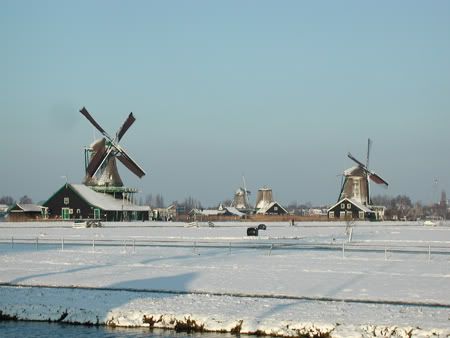 NLWindmills.jpg