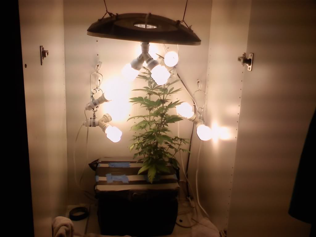 R3GHETTOSETUP.jpg