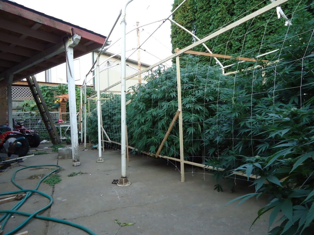 DSC06100.jpg