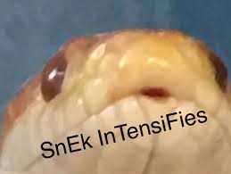 3ZsQWPu.jpg
