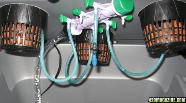 hydrothingy.jpg