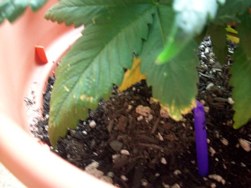 100_0307.jpg