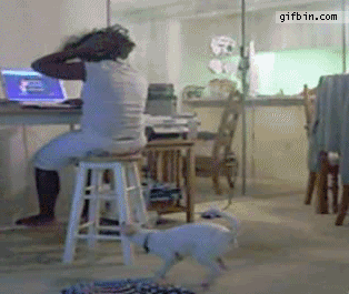 83791784.gif