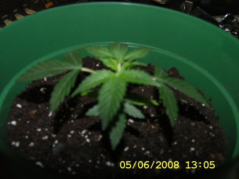 DCAM0159.jpg