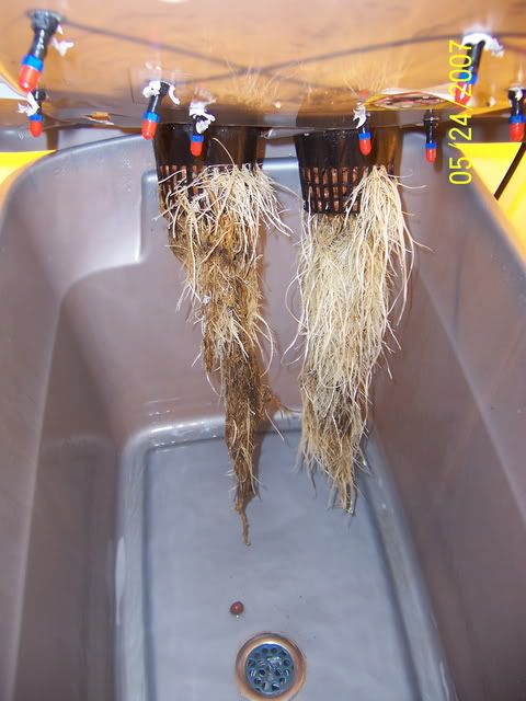 000_1024.jpg