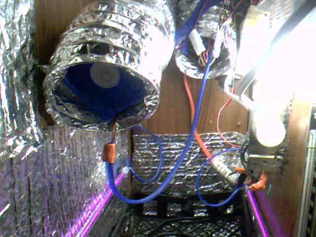 2009-03-15-03268.jpg