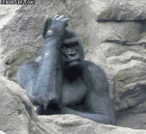 gifs_21.gif