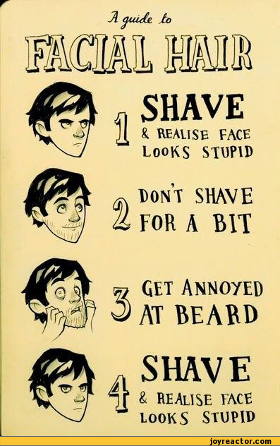 comics-guide-beard-men-638637.jpeg