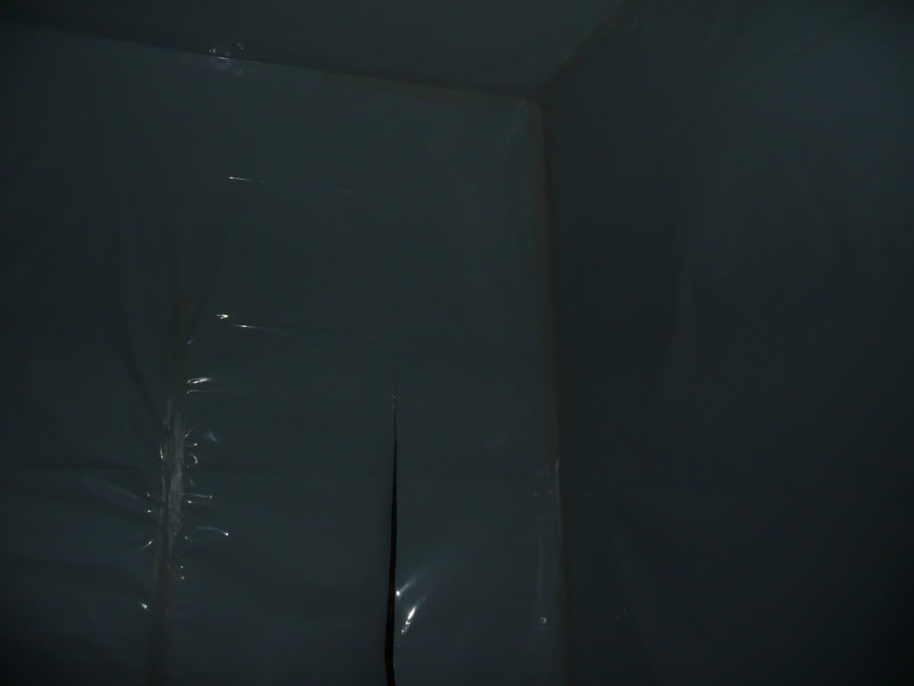 P1050303.jpg